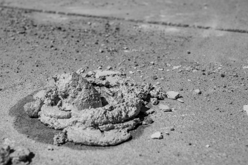 Avoiding Winter Challenges